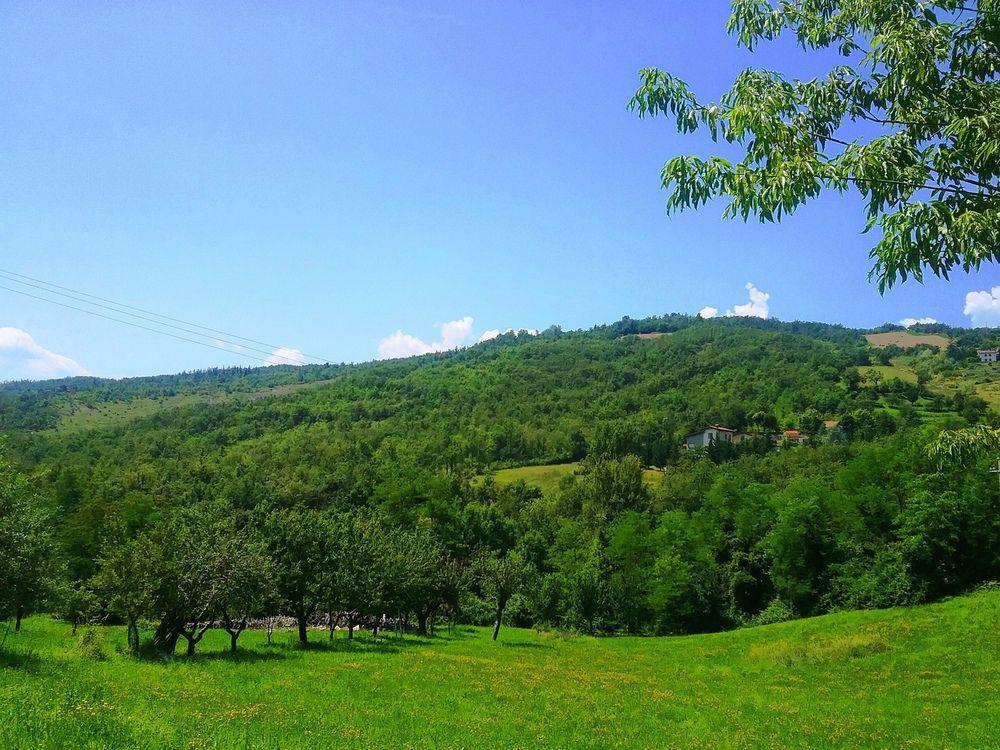 Il Mio Rifugio Guest House Gaggio Montano Exterior photo