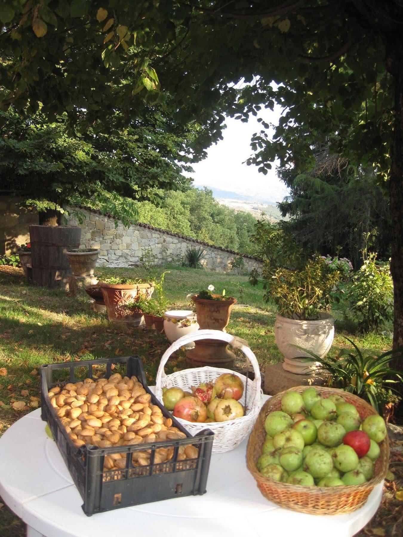Il Mio Rifugio Guest House Gaggio Montano Exterior photo